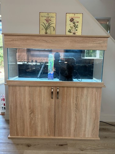 Maidenhead aquatics aquarium