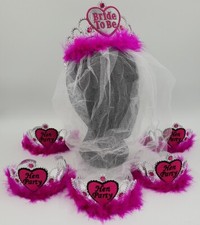 1 - 30 Hen Party + 1 FREE Bride To Be With Veil Tiara Crown Headband Accessories