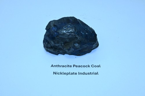 Anthracite coal peacock - anthracite,