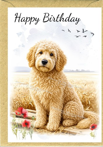 Goldendoodle labradoodle dog - goldendoodle, /