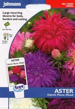 Johnsons Seeds - Pictorial Pack - Flower - Aster Ostrich Plume Mixed - 250 Seeds