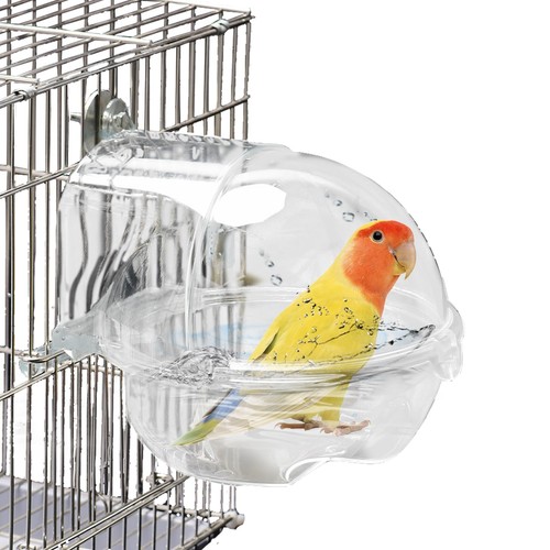 Bird bath box parrot bathing - bird,