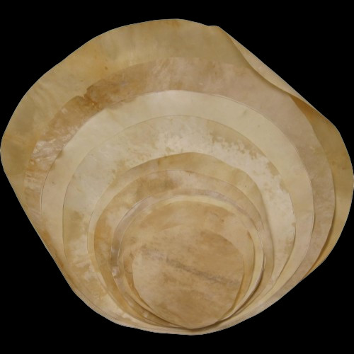 Drum head goat skin banjo - head,