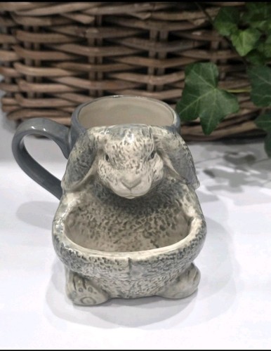 Next grey rabbit bunny - next, rabbit,