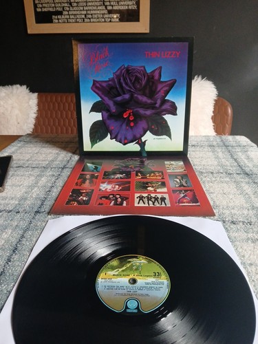 Thin lizzy black - black, rose