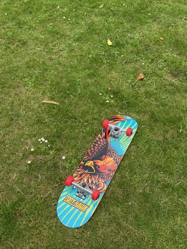 Tony hawk roar series complete - tony,