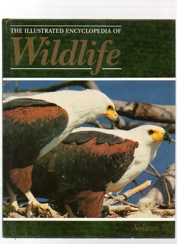 The illustrated encyclopedia - the,