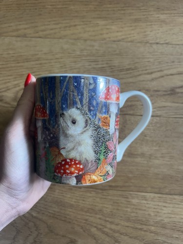 Otter house gift hedgehog