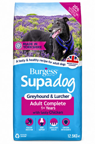 Burgess supadog greyhound and - burgess,