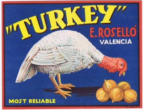 Turkey original spanish onion - ,
