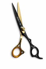 Professional Pet Dog Grooming