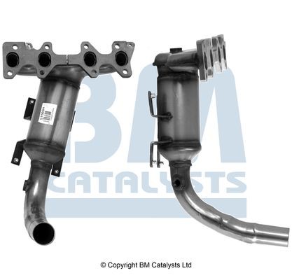 Catalysts bm91569h - bm,