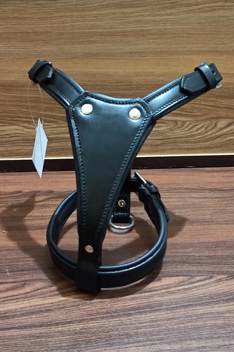 Leather puppy small dog - puppy,