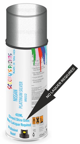 Direct gloss aerosol paint - gloss,