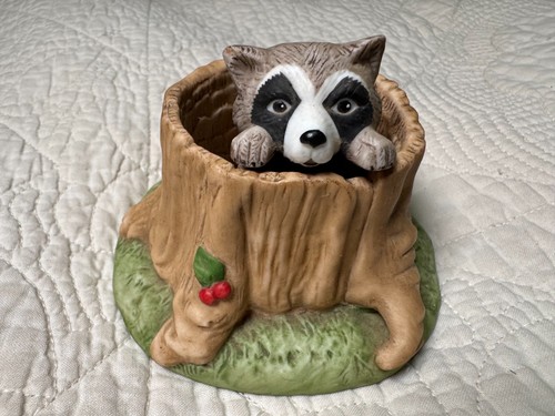 Woodland surprises raccoon - woodland,