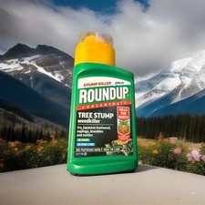Roundup Tree Stump and Root Killer Super Concentrate Weedkiller 250ml