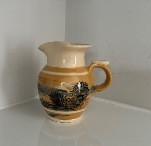 Boscastle small jug r irving - small,