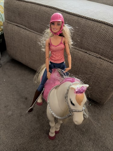 Barbie dreamhorse doll playset - barbie,