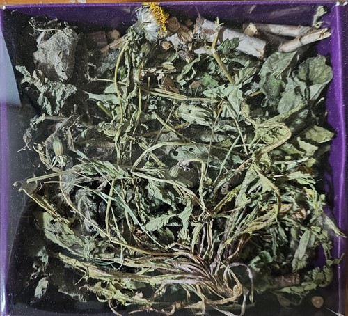 Rabbit forager treat - treat, great