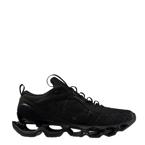 Mizuno wave prophecy 2 - mizuno, 13.2