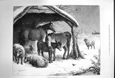 Original Old Antique Print 1874 Christmas Party Donkey Horse Sheep Shelter Snow