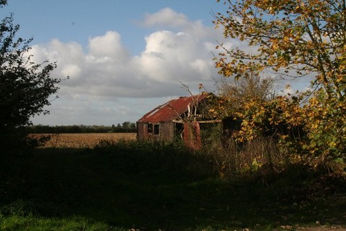 Photo 6x4 tin roof - 6x4,