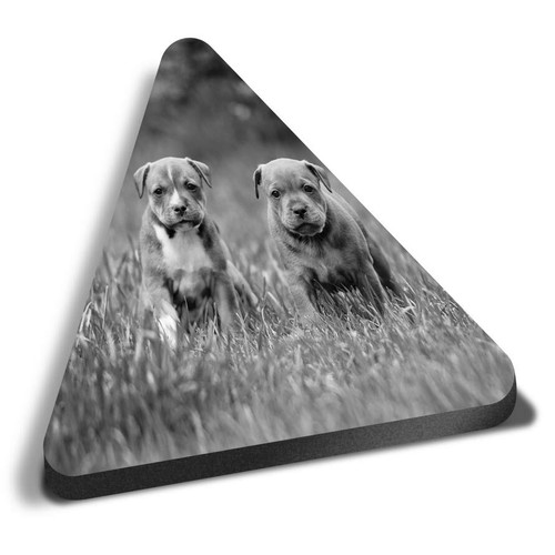 Triangle mdf magnets - magnets,