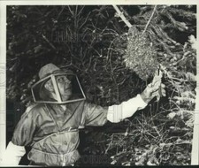 1976 Press Photo Beekeeper