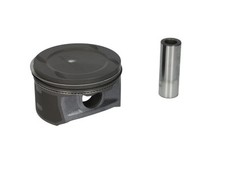 Piston Nüral 87-429500-00