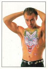 PANINI SMASH HITS COLLECTION 1987 STICKER THE THE  #160 original vintage