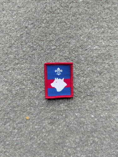 Scout bulls patrol badge - scout,