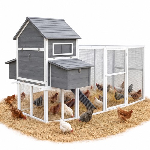 Rabbit hutch chicken - hutch,