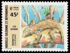 NEW CALEDONIA 540 - Giant Gecko "Rhacodactylus leachianus" (pb86050)
