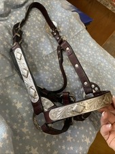 Circle Y Show Halter With Lead, Bag & Anti-tarnish Sleeves EUC!