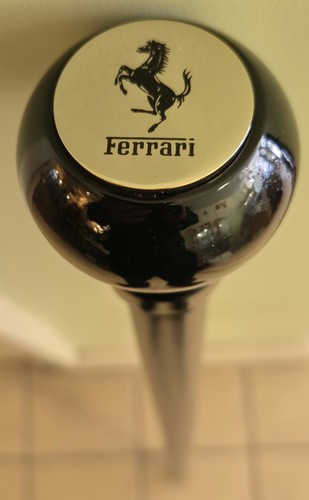 Ferrari walking stick wooden - walking,