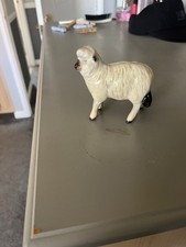 Beswick Sheep