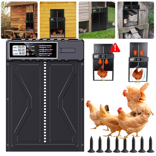 Automatic chicken coop door - chicken,