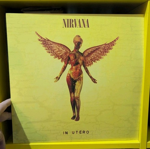 Nirvana utero - in,