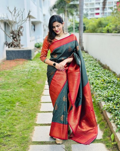 New party wear indian - new,