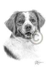 Brittany spaniel dog artwork - brittany, |