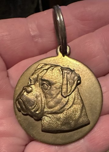 Bronze colour boxer dog head - dog,
