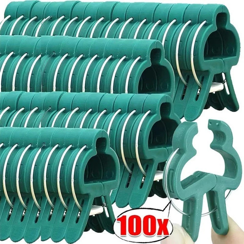 100pcs garden plant - 100pcs,