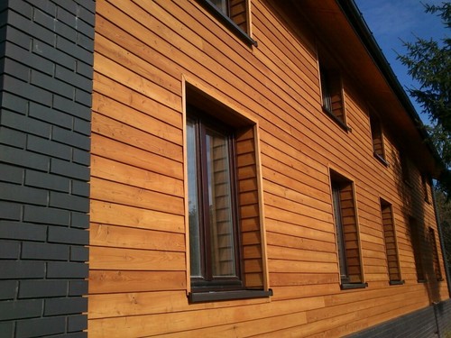 New profile siberian larch - new,