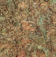 Sphagnum Moss for Happy Snails Ready To Use Vivarium Terrarium Invert Bioactive