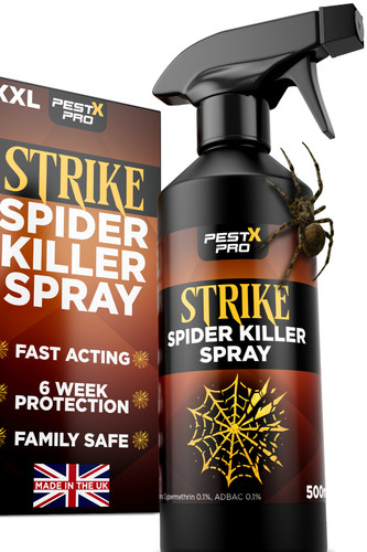 Pest pro spider killer - spider,
