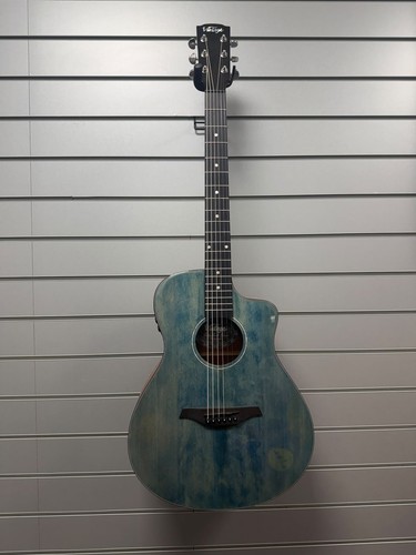 Vintage guitar pacific coast - guitar,