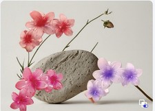 3 piece Flower Hair Claw Clips