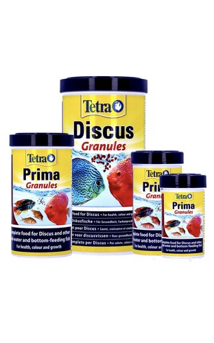 Tetra prima discus - prima,