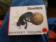 Bancroft Tiddlers Beetles Book.