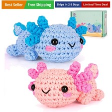 Crochet Kit for Beginners